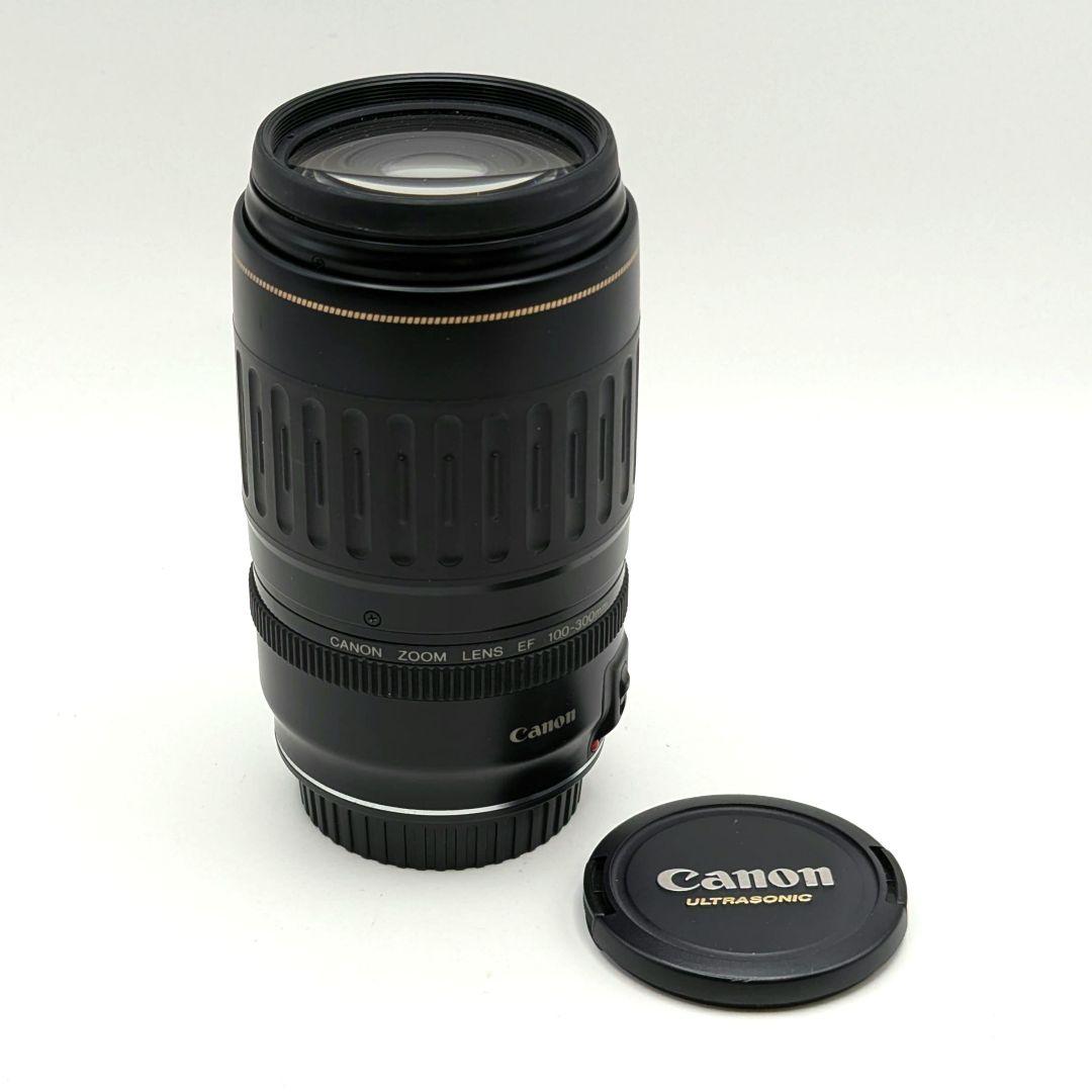 EF 100-300mm F4.5-5.6 USM Canon キャノン