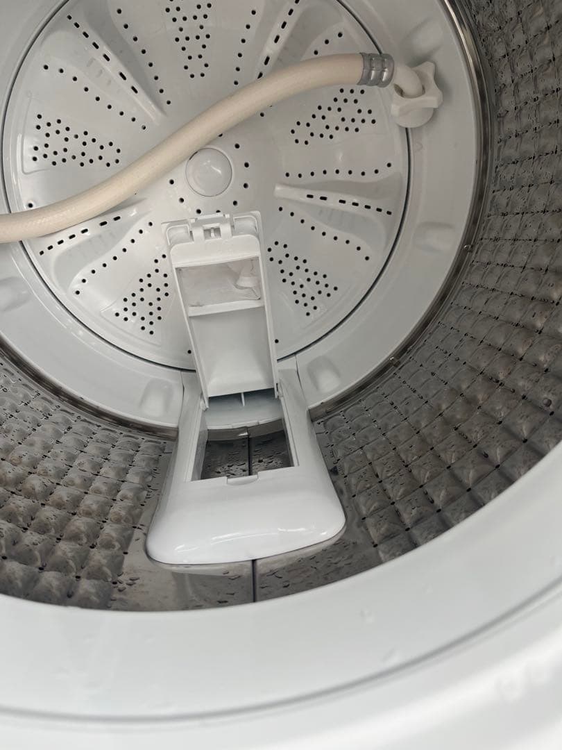 ハイアール 洗濯機 JW-HS55C 5.5kg 24年製T