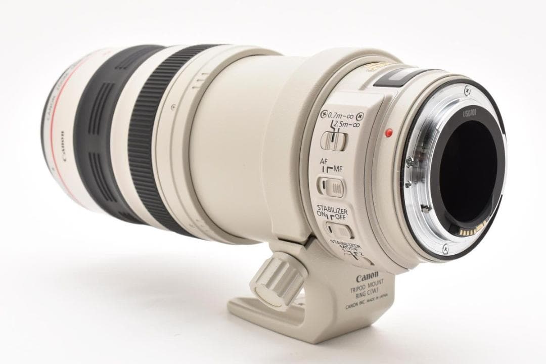 Canon EF 28-300mm F/3.5-5.6 L IS USM 現状