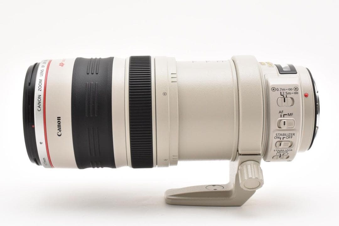 Canon EF 28-300mm F/3.5-5.6 L IS USM 現状