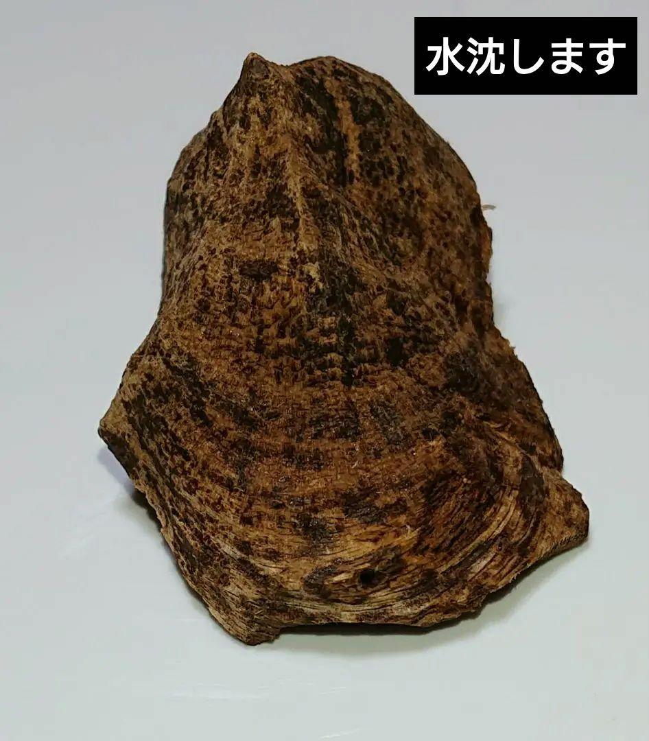 水沈没 超極上ベトナム フエ産 香木 写真】水上の巨大廃墟(ベトナム フエ)｜ばちばちコリコリ軟骨から上げ