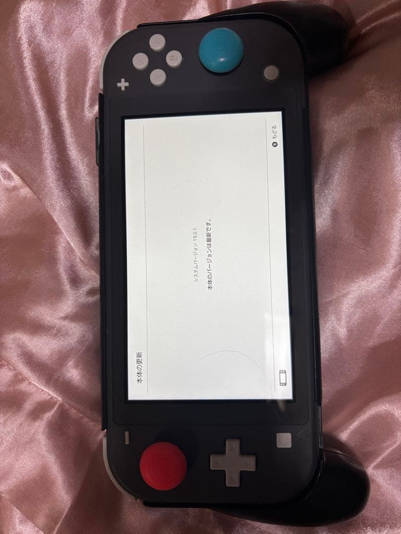 【美品】任天堂Switch ライト➕スプラトゥーン3(バラ売り可) 任天堂（Nintendo） Nintendo Switch Lite スプラトゥーン3 オリジナル