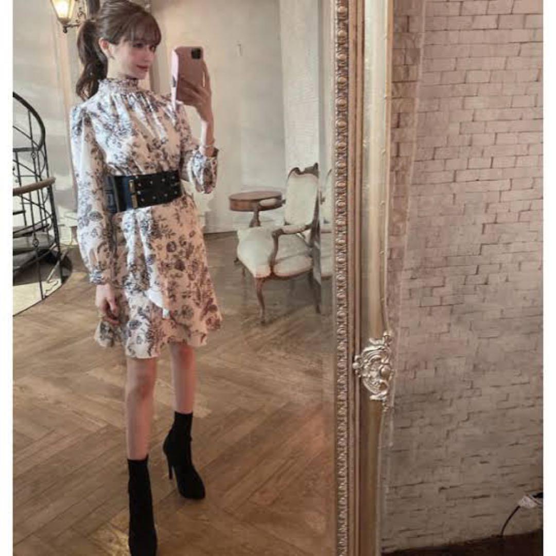 EmiriaWiz 愛沢えみり アンティークフラワー ワンピース エミリア