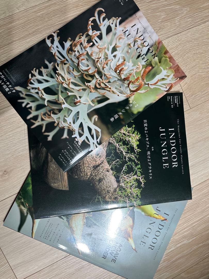INDOOR JUNGLE 3冊セット INDOOR JUNGLE Issue.06 ｜ エムピージェー