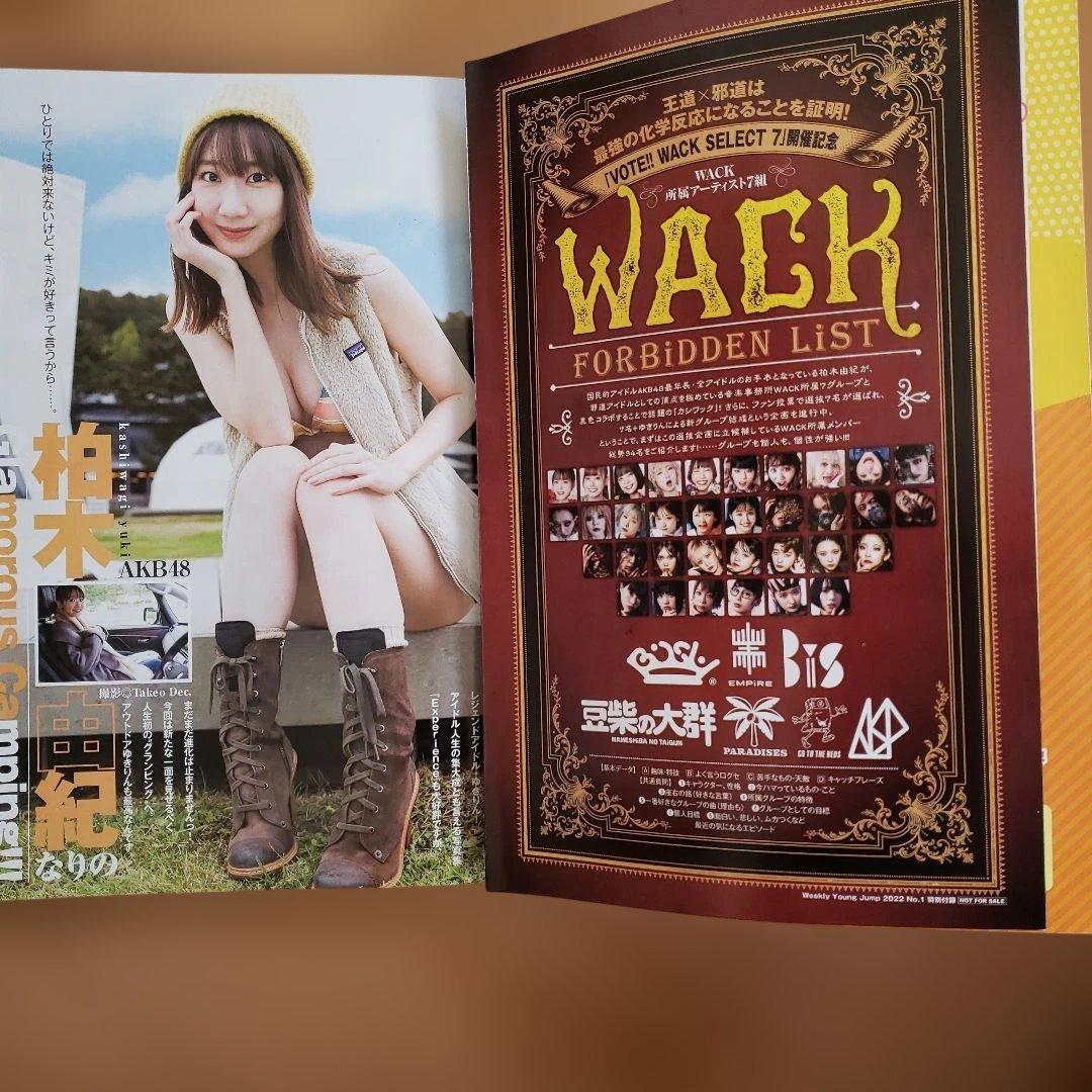 週刊ヤングジャンプ　2022年全４８冊