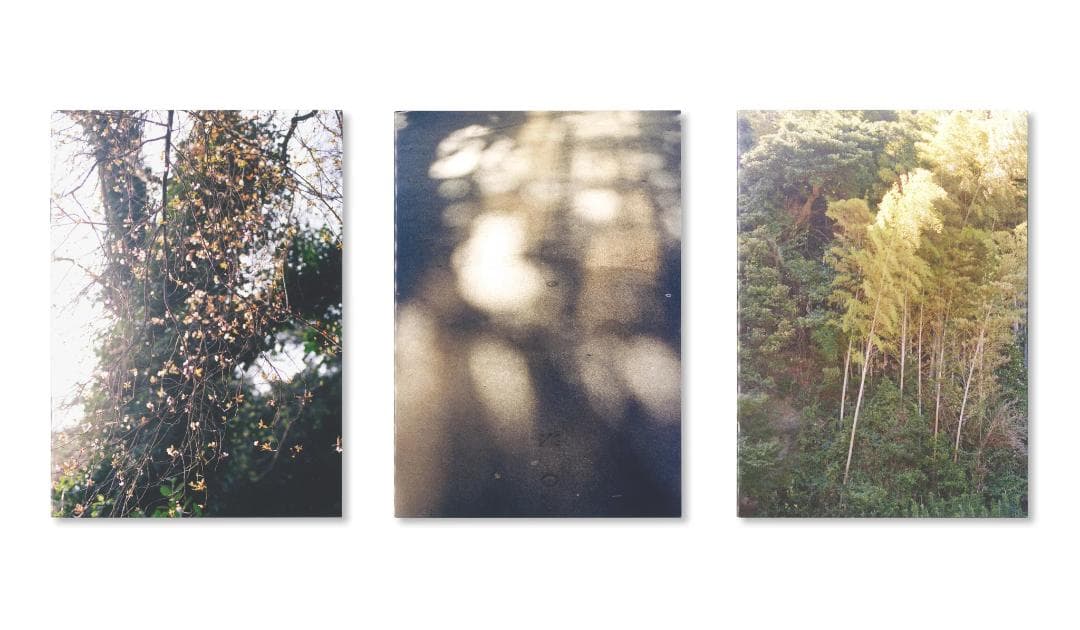 DAG MADOKA MIYA by Ola Rindal（オラ・リンダル）