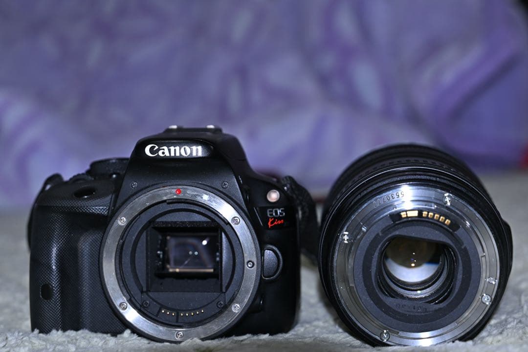 Canon EOS Kiss ボディとレンズEF 24-105mm f/4 Canon EF 24-105mm f/4L IS II USM | Canon U.S.A., Inc.