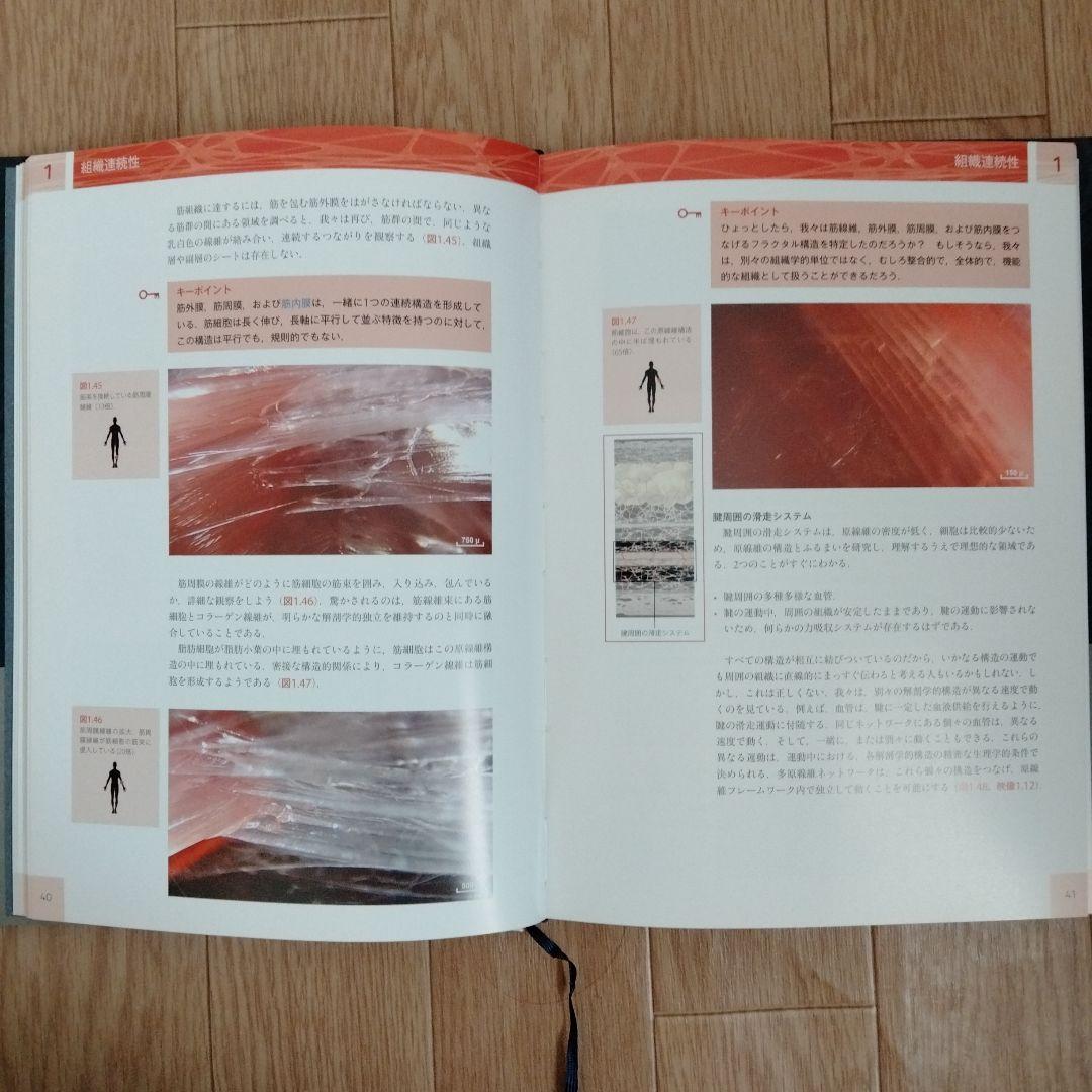 人の生きた筋膜の構造 DVD付属