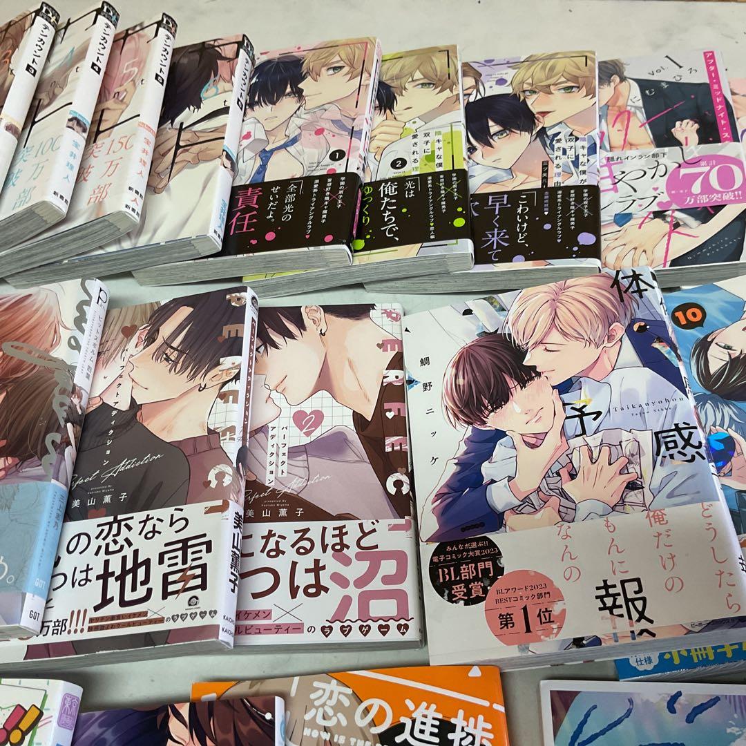 ボーイズラブ漫画 28巻おまとめ　テンカウント　他　(I-53