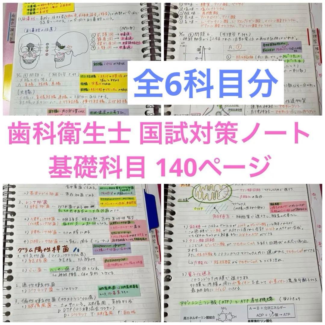 【全国1桁・首席ノート】歯科衛生士国試 基礎6科目セット（計140ページ） 歯科衛生士書き込み式学習ノート1 専門基礎科目編 2025年度: 人体の