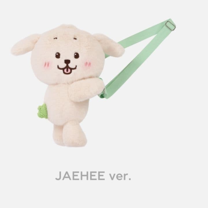 NCT WISH ジェヒ デントリバー バッグ ソウルコン - メルカリ