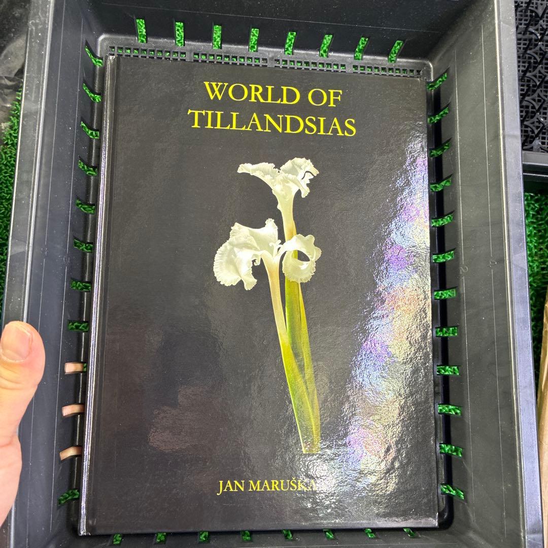 World of Tillandsia Jan Maruska著 8cb80e080b65d646ca46c6889e320f