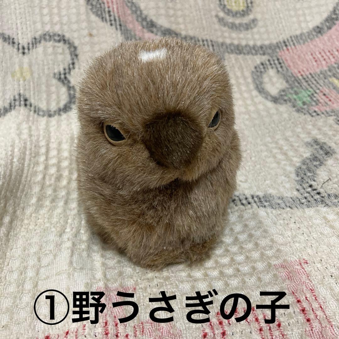 やまね工房 ぬいぐるみ 8コセット 中古品 落合けいこ - メルカリ