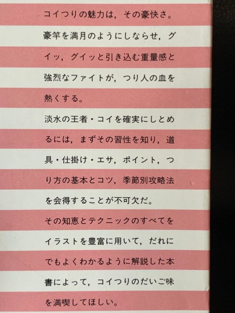 【稀少】イラスト版　コイつり入門　村山幸一著　ナツメ社