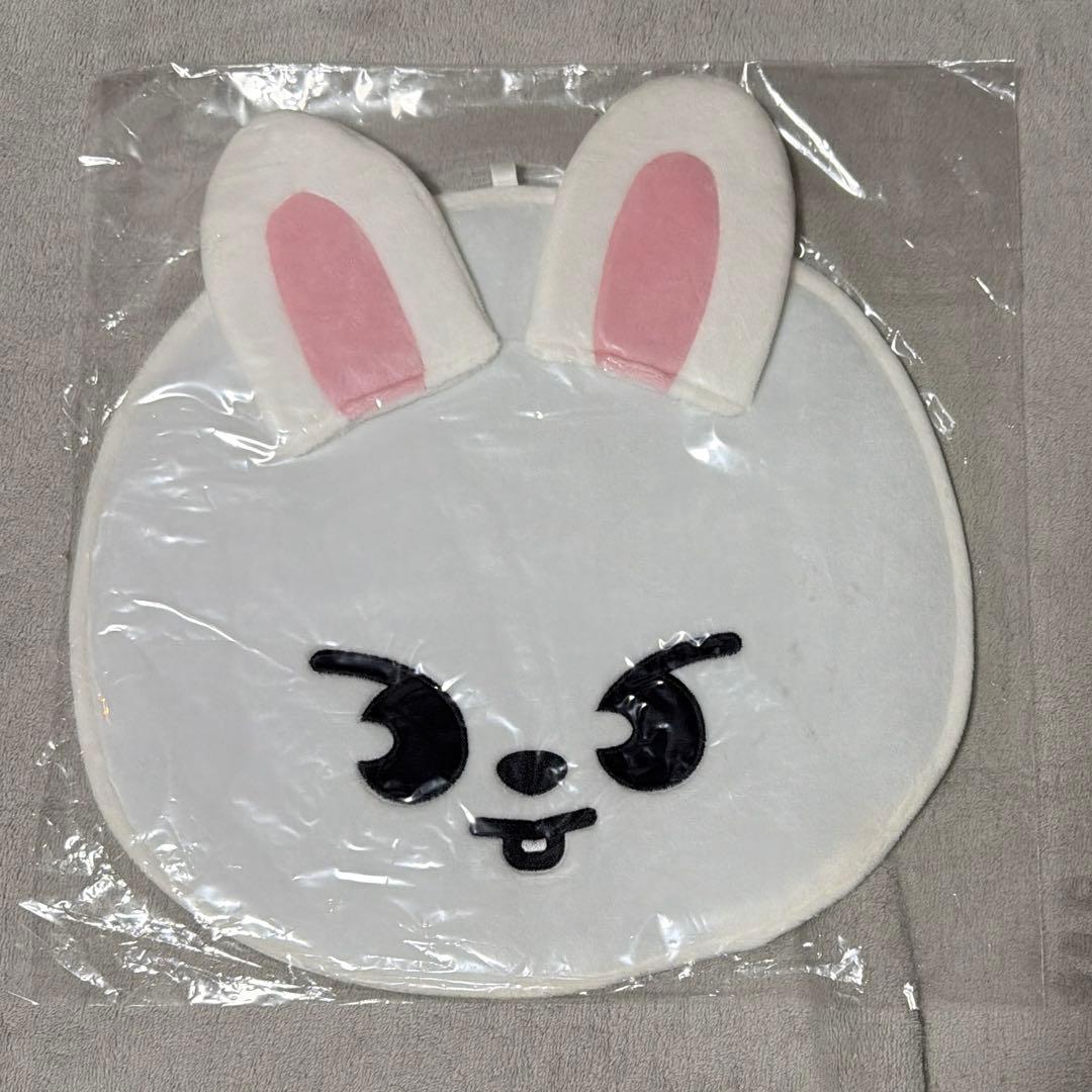 StrayKids スキズ リービット リノ うちわケース うちわカバー - メルカリ