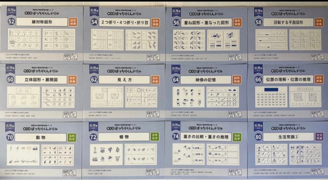 裁断済・美品】理英会 ばっちりくんドリル 応用編 年長用 40冊／全45冊