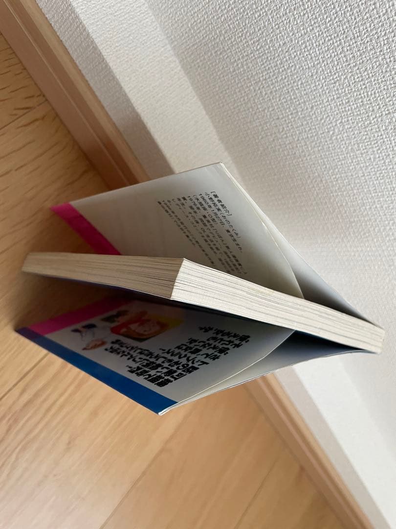 小野拓実　使えない女