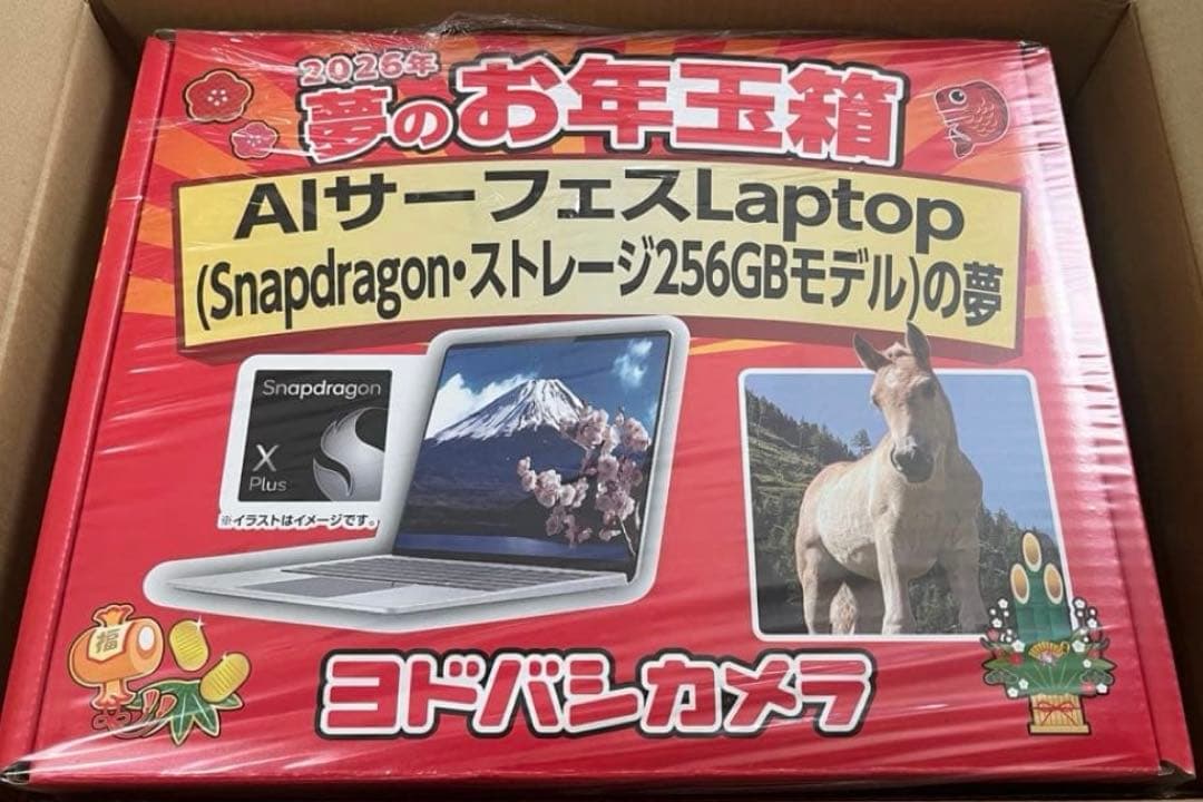 ヨドバシ 福袋 AIサーフェスLaptop Snapdragon 256GBの夢 - メルカリ