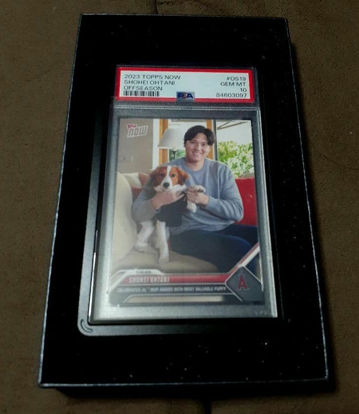 大谷翔平 デコピン カード 2023MVP 記念メダル 3点セット psa10 - メルカリ