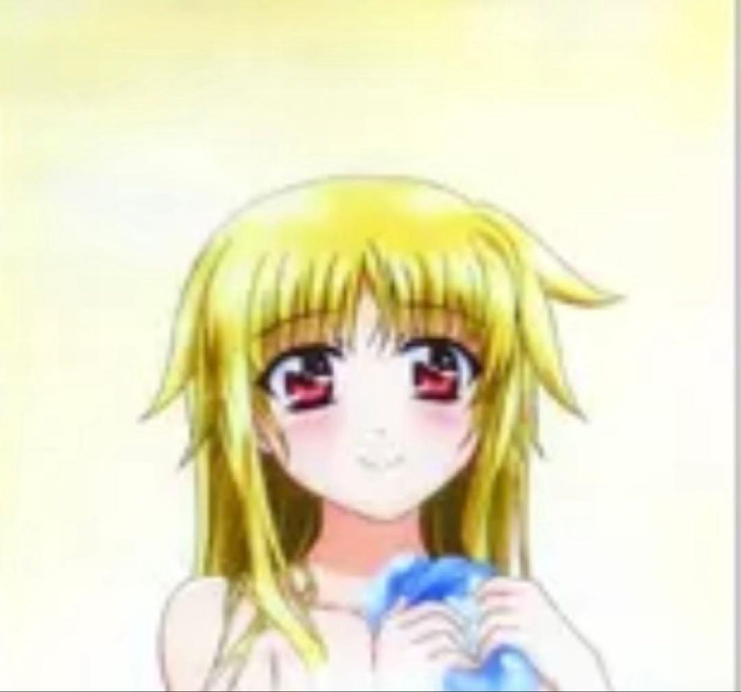 フェイト・T・ハラオウン シャワータペストリー 魔法少女リリカルなのは