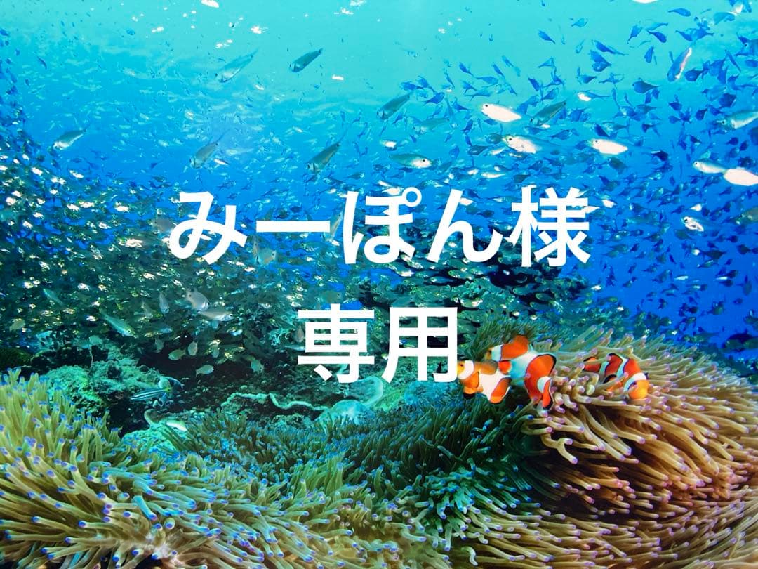 エンビロンCクエンスセラム4プラス エンビロン / C－クエンスセラム 4プラス 35mlの公式商品情報｜美容