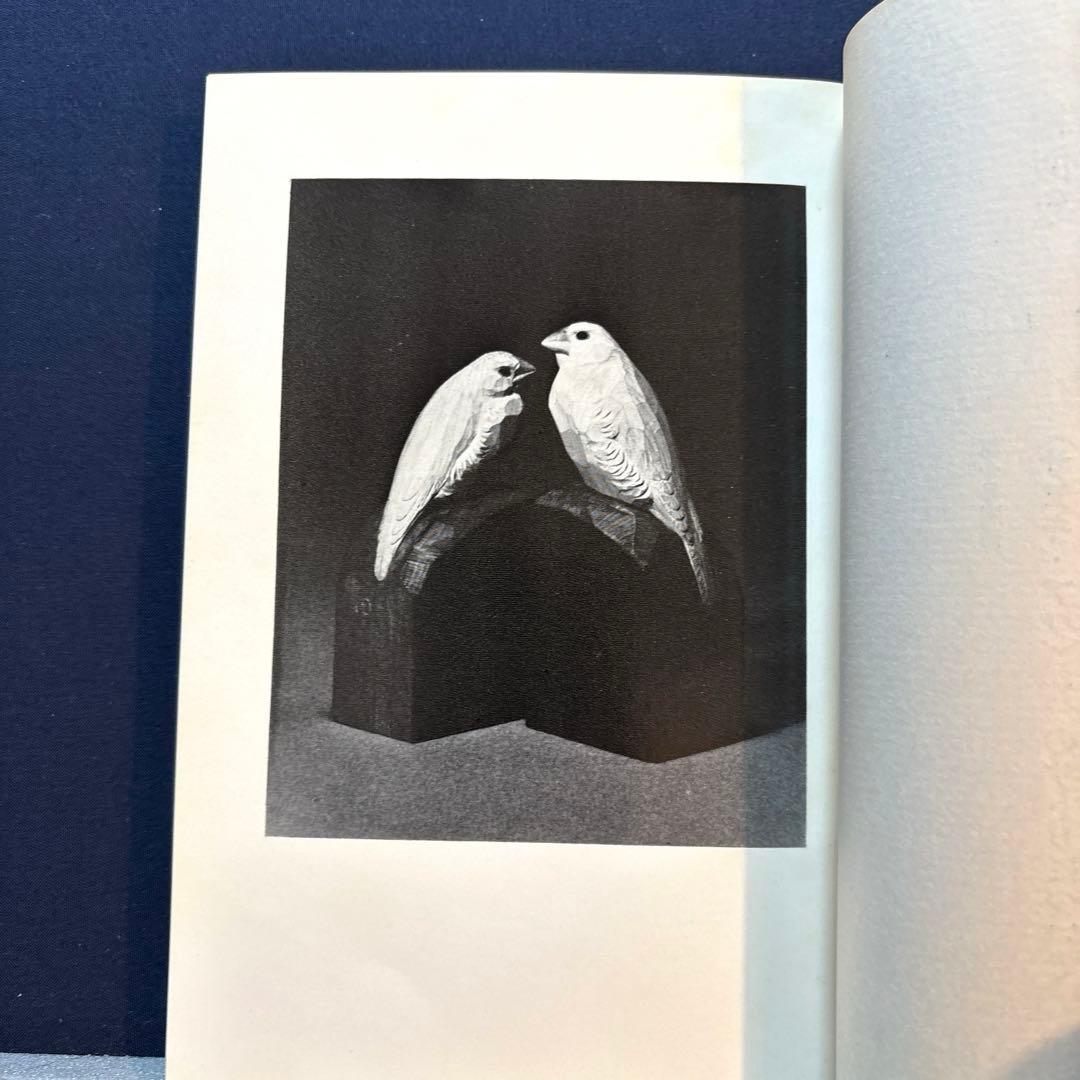 相似象学会誌　第十号別冊　〈サヌキ・アワ〉（性）のサトリについて