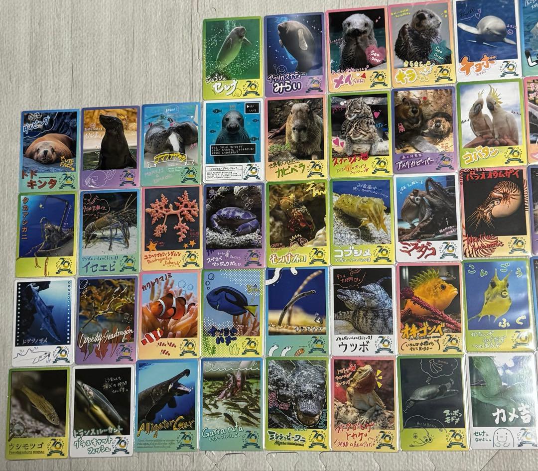 鳥羽水族館 70周年記念 コレクションカード 72種 コンプリートセット