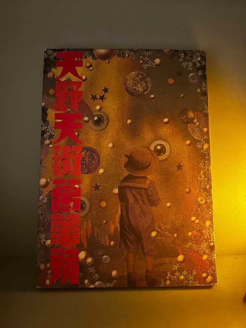 天野天街万華鏡　北冬書房 Amazon.co.jp: 天野天街万華鏡 : 本