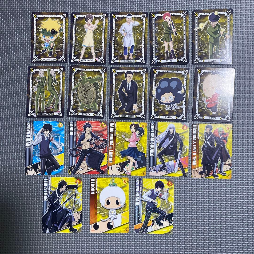 家庭教師ヒットマンREBORN! サザンクロスバトル ボンゴレア2枚含む48枚