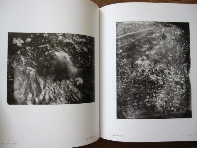 Sally Mann The Flesh and The Spirit　九相図