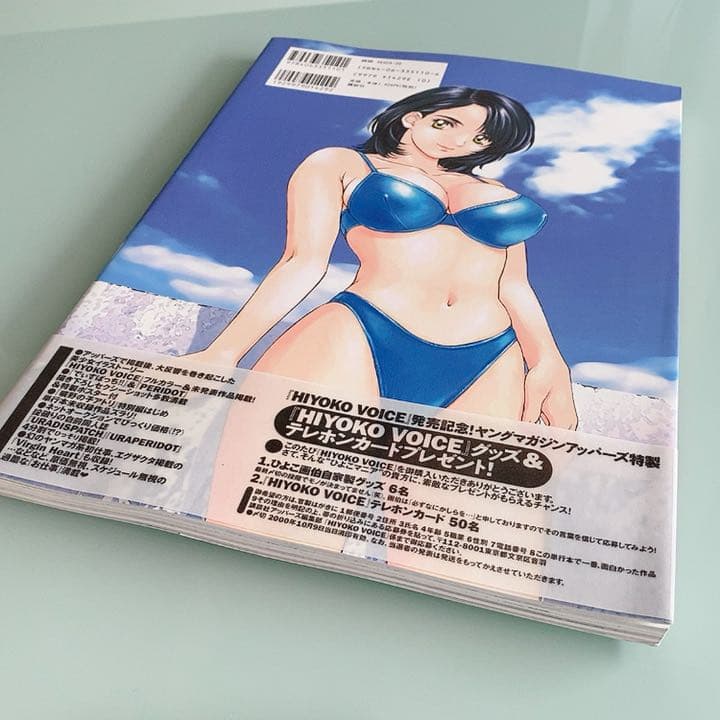 安心の匿名発送 少女 画集 入手困難 HIYOKO VOICE こばやしひよこ