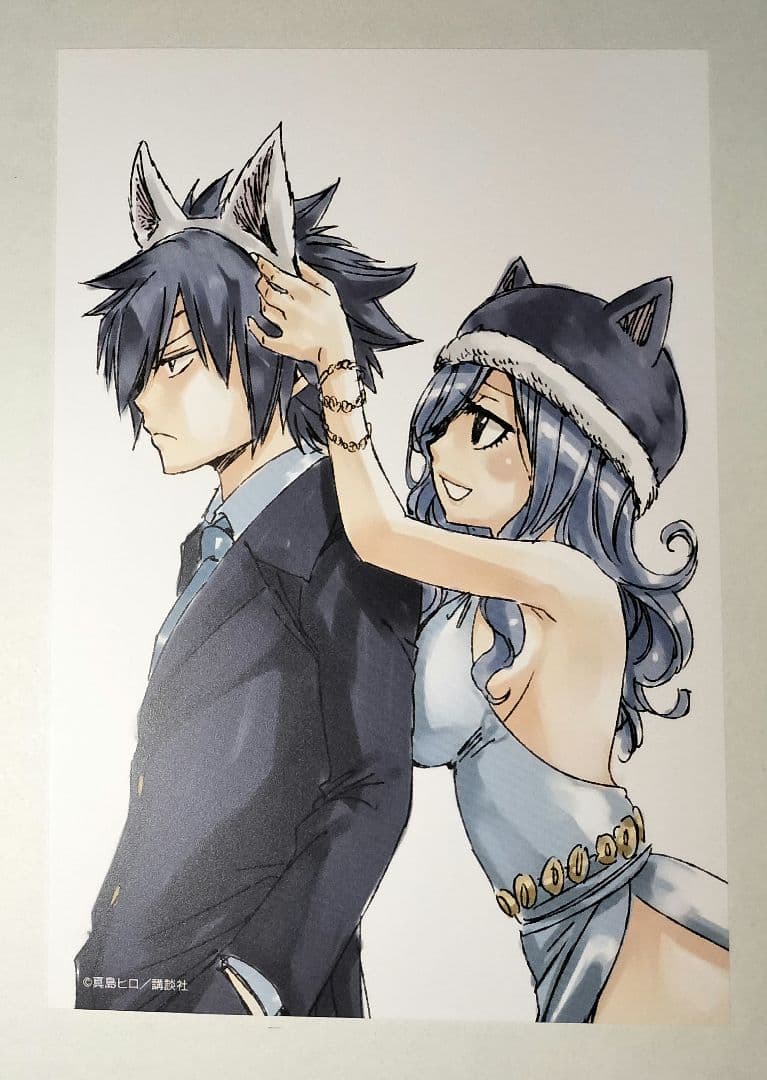 フェアリーテイル グレイ ジュビア ポストカード 特典 プリンセス