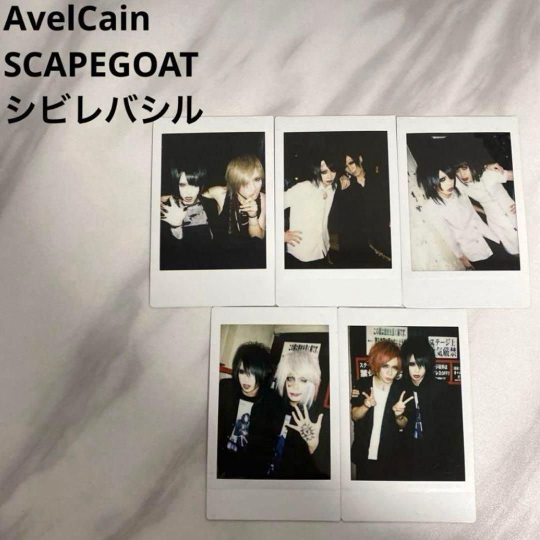 レア】AvelCain SCAPEGOAT シビレバシル 業 チェキ5枚セット - メルカリ