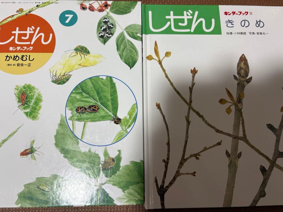 最終値下げ キンダーブックしぜん 37冊