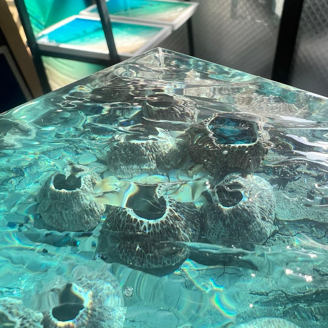 波紋アート】フジツボアート／barnacle／オブジェ／10cmプリズム