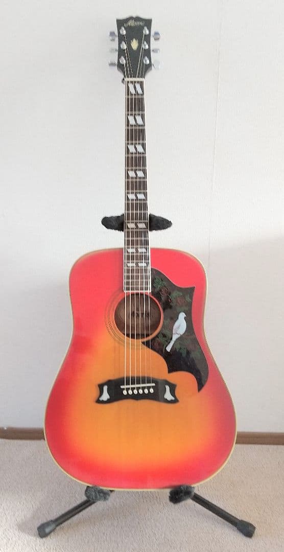 アコースティックギター Morris  WD-30 Morris Morris WD-30 Acoustic Guitar アコースティックギター