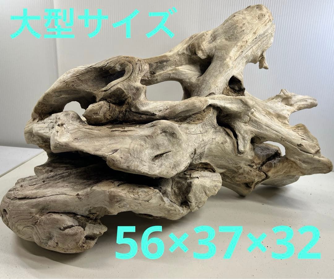T90特大流木 大型流木 アク抜き済み 漂白処理 爬虫類シェルター
