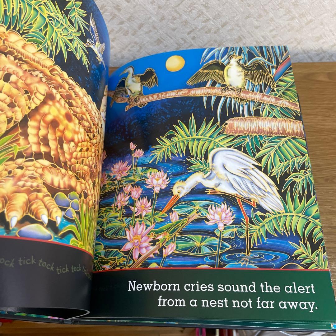 Tick Tock Tick Tock What's Up Croc? 児童書