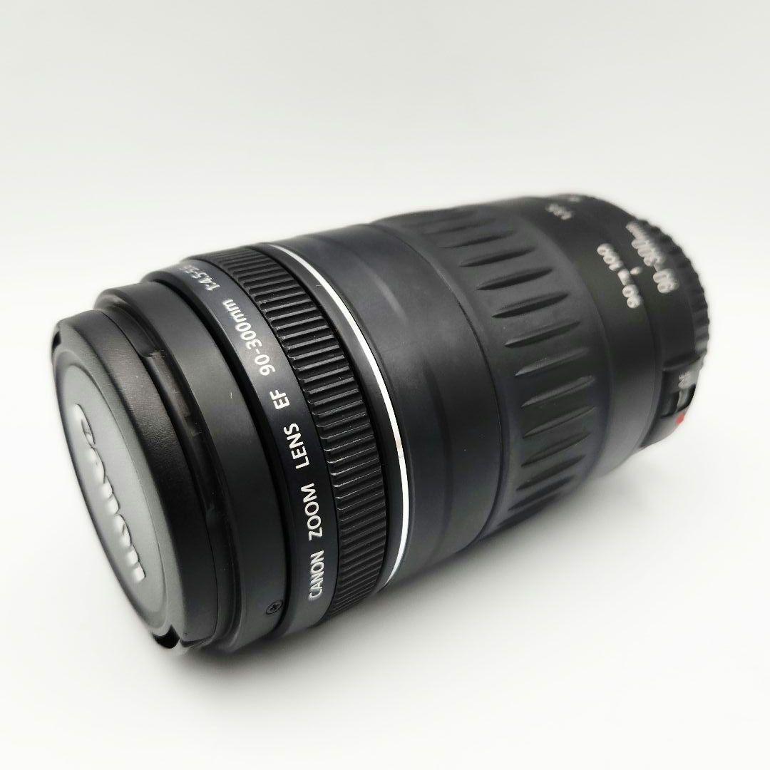 Canon EF 90-300mm f/4.5-5.6 ズームレンズ