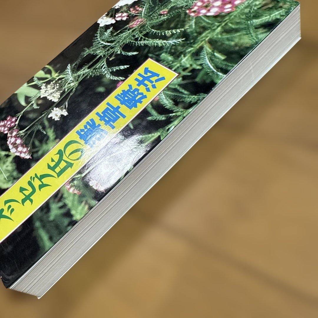 メッセゲ氏の薬草療法 ハーブ 薬草 自然療法 本 自然の友社 モーリス