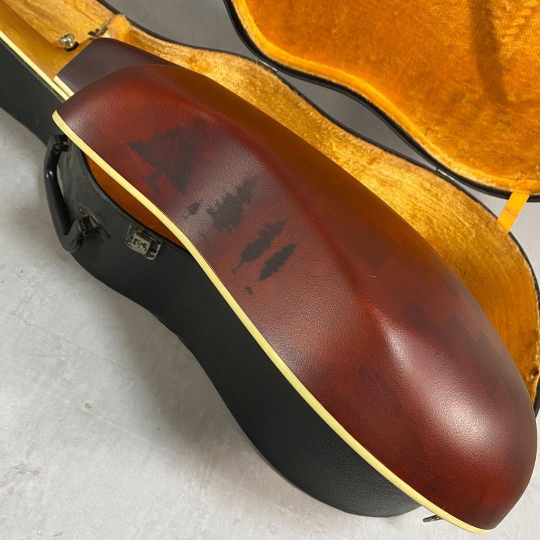 Fernandes Woodware A340C ギター