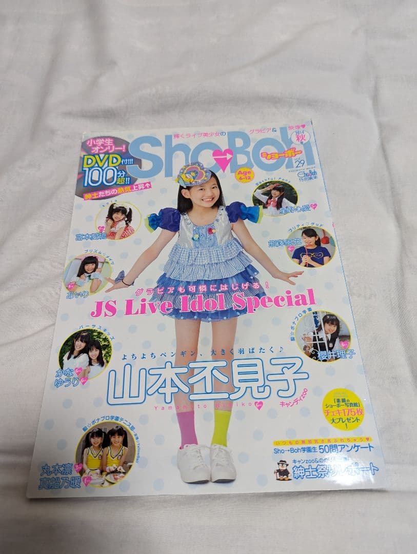 海王社ムック ShoBoh ショーボー Vol 29 DVD付き