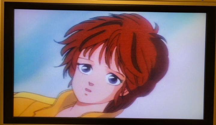 ☆ラブ・ポジション ハレー伝説☆激レア！☆希少なレーザーディスクです！☆