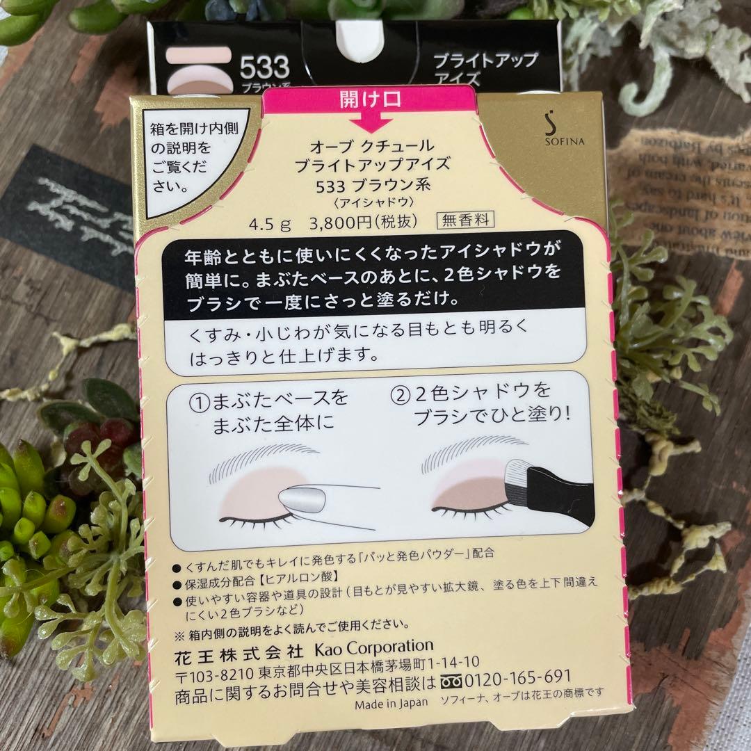 ☆生産終了品☆ オーブ クチュール ブライト アップアイズ 533