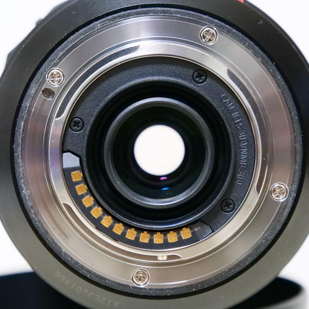 レンズ(ズーム) Panasonic LUMIX 100-300mm F4.0-5.6 II