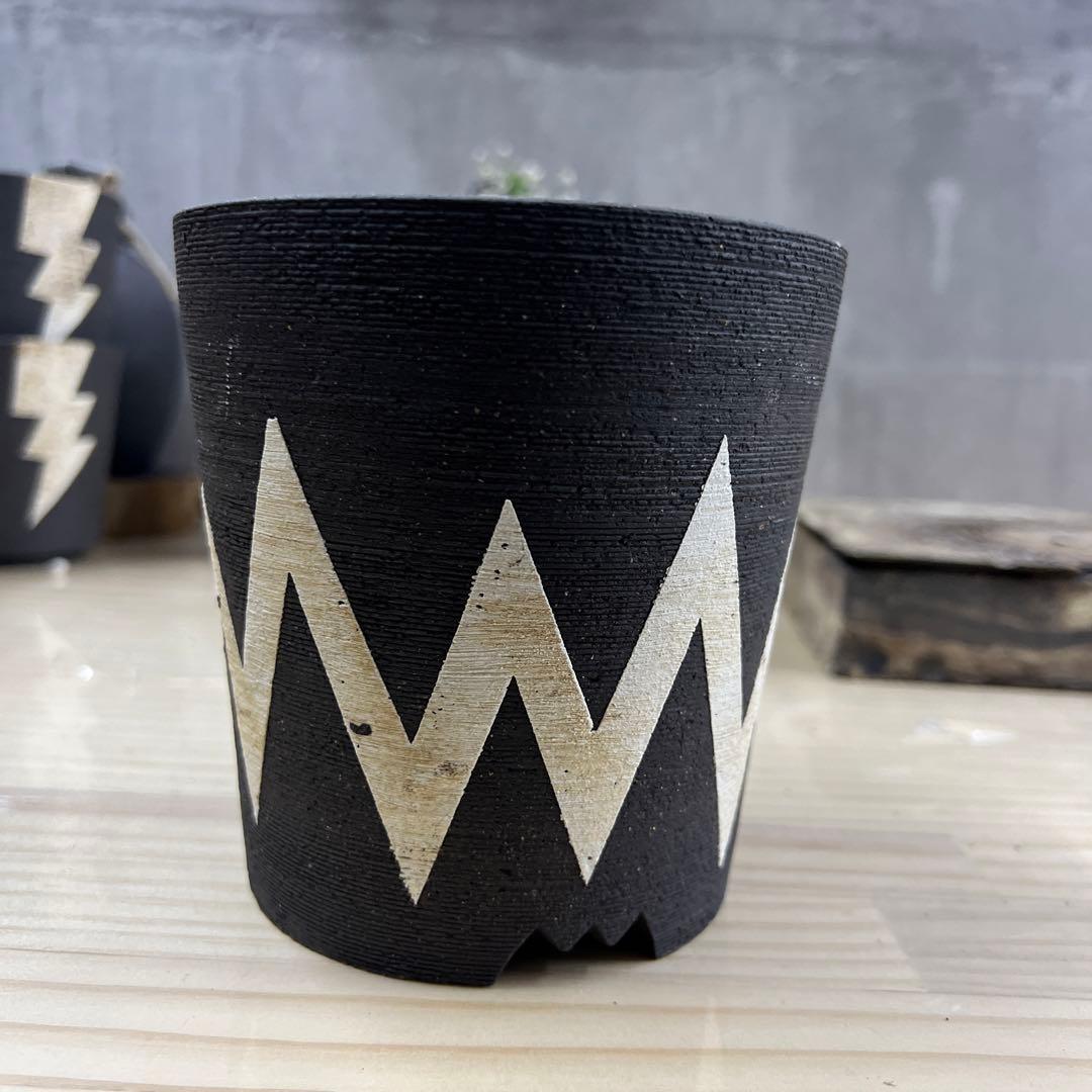 ノイズ 樣手作植木鉢 Mサイズ 2点検（ 塊根植物 グラキリス パキプス 手作植木鉢 Mサイズ 2点検（ 塊根植物 グラキリス パキプス アガベ