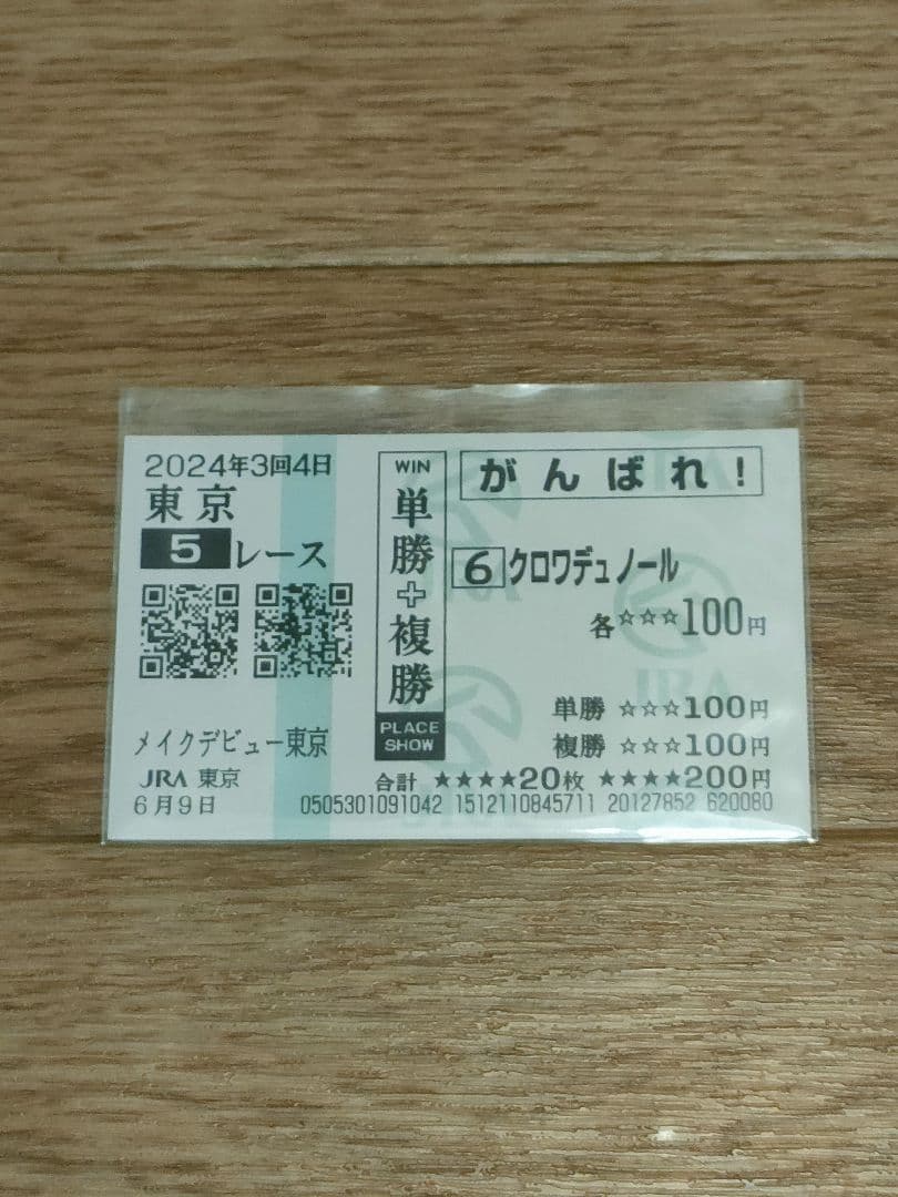 クロワデュノール 新馬戦 (最終値下げ 12月9日まで) 初戦9着惨敗→馬体重20キロ増で激変したクロワデュノールの全弟に