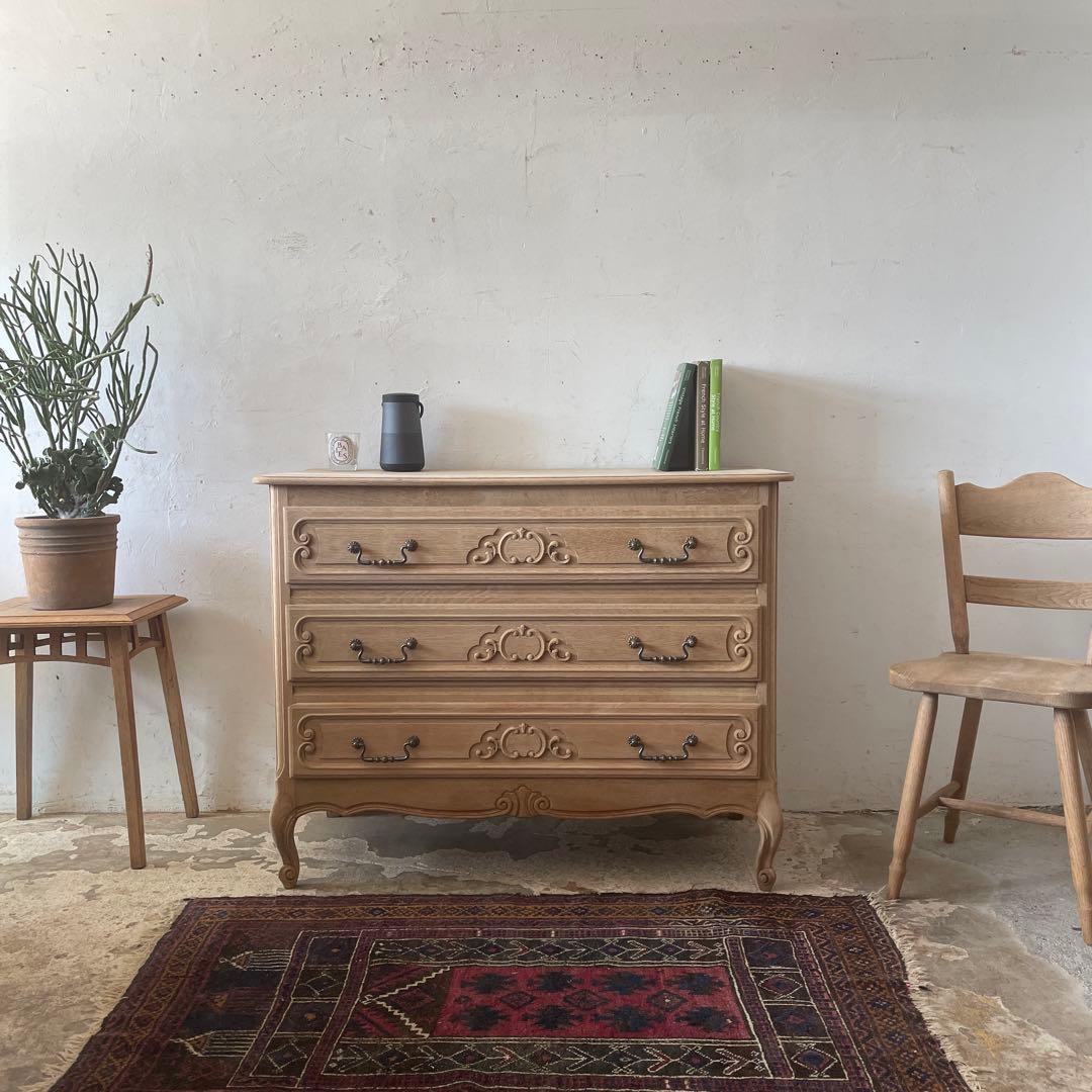 アルキデスヒラタクワガタ 極太個体 標本の通販はau PAY マーケット