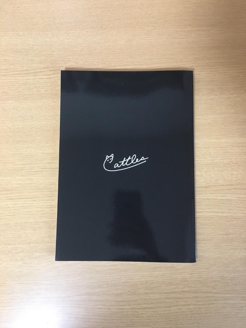 黒猫アイランド マーケットのニャ術師 vol.1