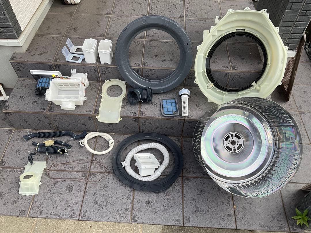 【分解洗浄済み】シャープドラム式洗濯乾燥機　ES -W113SL 2022年購入